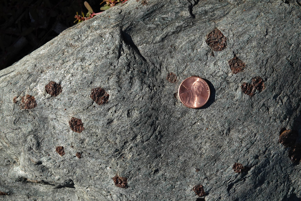 Garnet Porphyroblasts in Schist