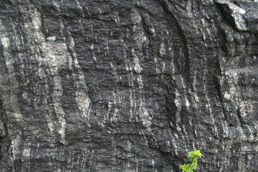 Gneiss outcrop photo