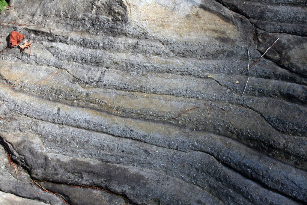 Clear layers in a metamorphic rock