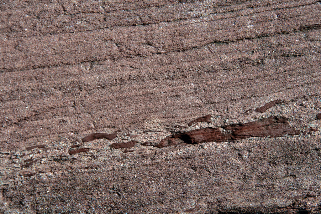 Red Sandstone with Ripup clasts