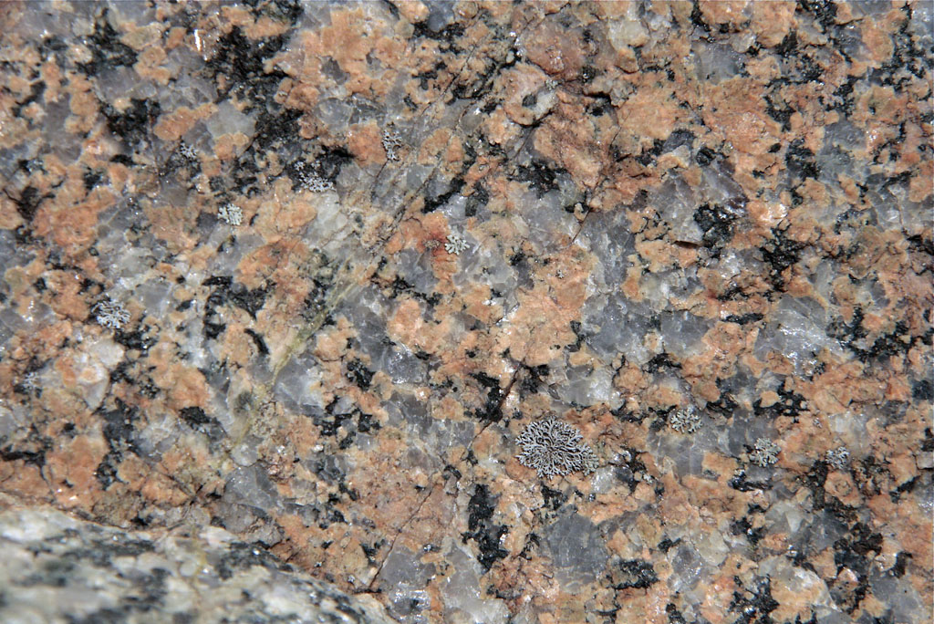 Granodiorite photo
