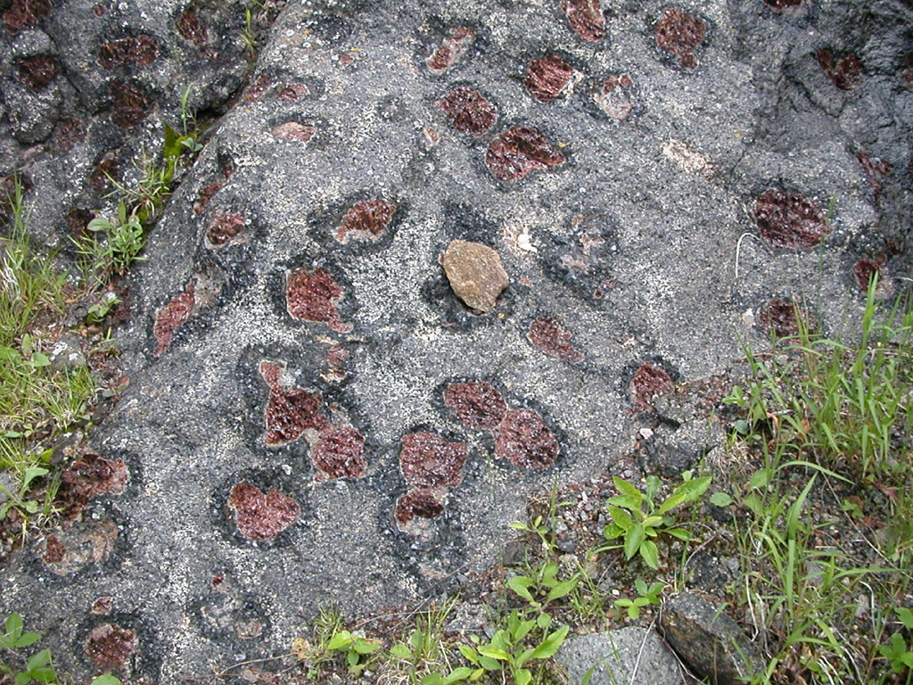 Muscovite-rich Schist photo