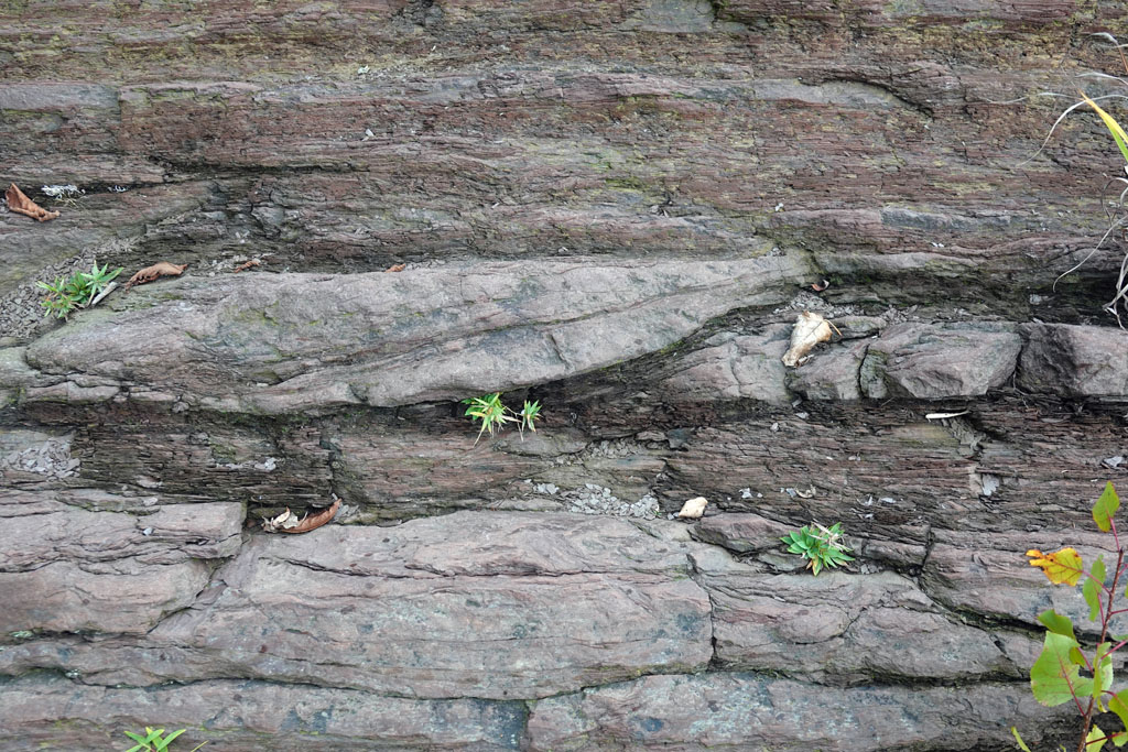 sediment folds in gneiss