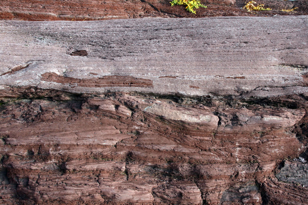 Gneiss Outcrop Photo