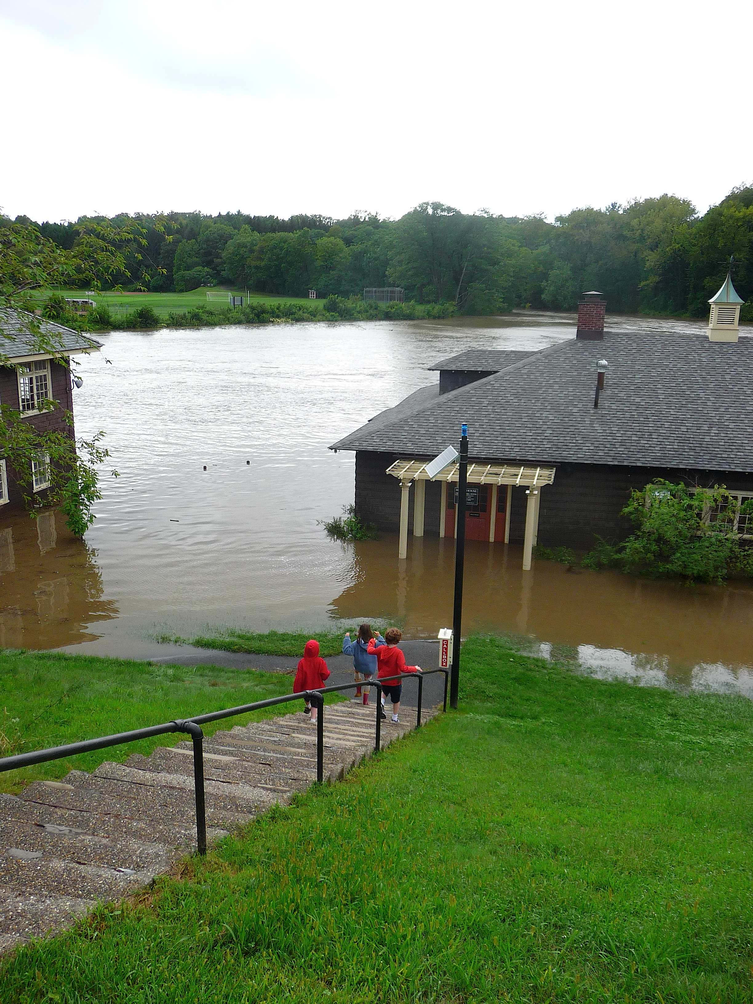 Paradise Pond flood 2011