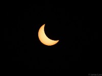 Total solar eclipse 2017 Aug 21: First partial phase  TeleVue85 + TV focal reducer, 480mm f/5.6 ISO100 1/1000 sec with Thousand Oaks solar filter.