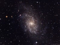 M33, the Triangulum Galaxy  2014 Sep 19 + Nov 10 6" f/8 Newtonian prime focus Canon 60Da 1.75 hr ISO 1600