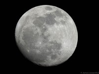 Gibbous Moon  2012 Feb 05 6" f/8 Newtonian prime focus  Olympus E410 1/250 sec ISO 200