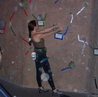 I am using only the holds marked with blue tape
