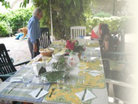 Cordoba patio