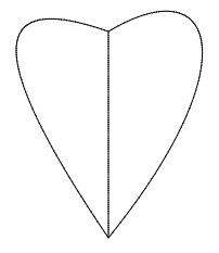 bezier