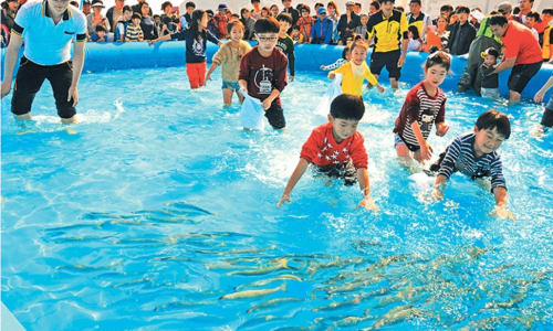 Busan Mackerel Festival