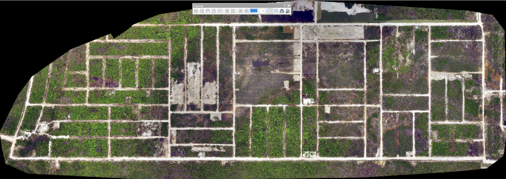Drone imagery of the nearly abandoned Belizean Estates in the mangrove swamps of Ambergris Caye, Belize.