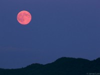 Super Moon rises over Holyoke Mountains  Northampton, MA